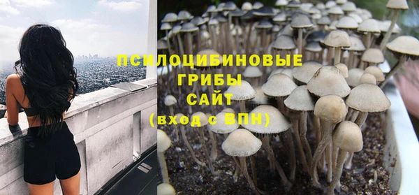 индика Россошь