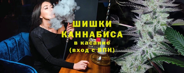 индика Россошь