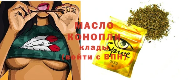 индика Россошь