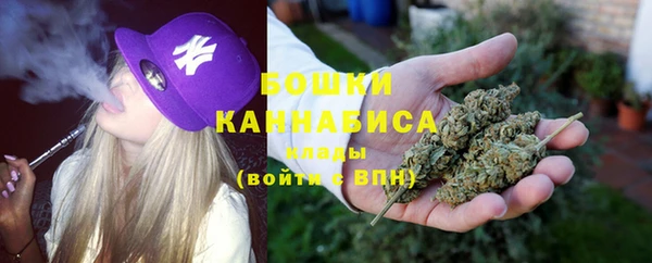 индика Россошь